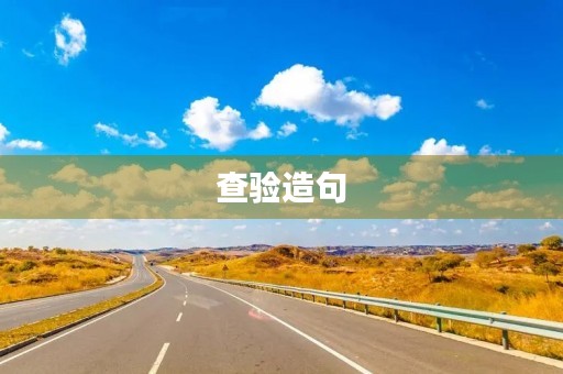 查验造句