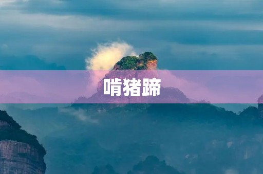 啃猪蹄