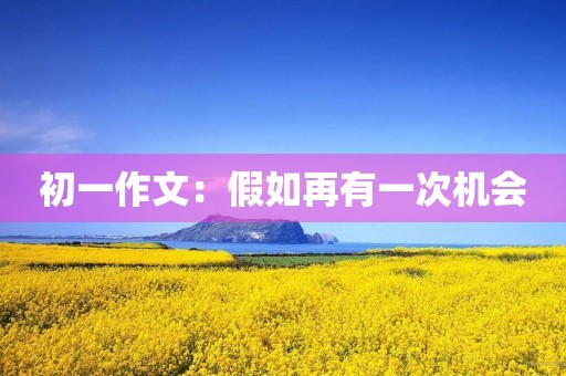 初一作文：假如再有一次机会