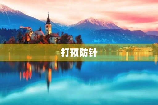 打预防针 打预防针