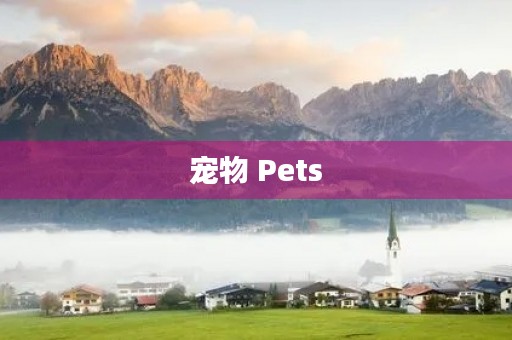 宠物 Pets 宠物 Pets