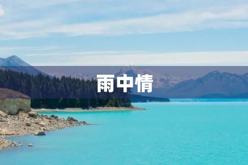 雨中情 雨中情