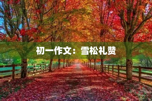 初一作文：雪松礼赞