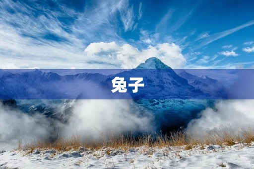 兔子 兔子
