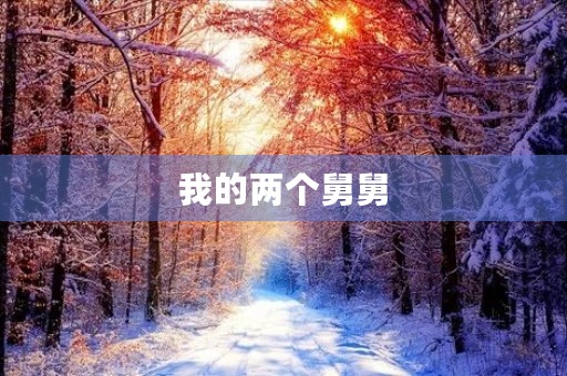 我的两个舅舅
