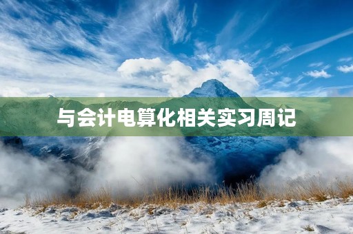与会计电算化相关实习周记