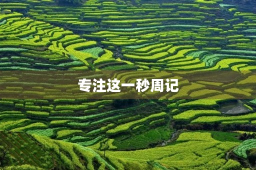 专注这一秒周记 专注这一秒周记