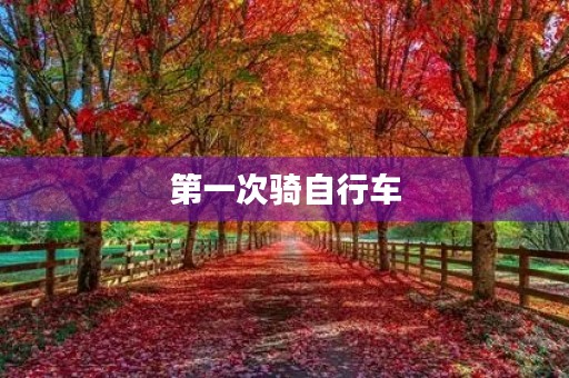 第一次骑自行车