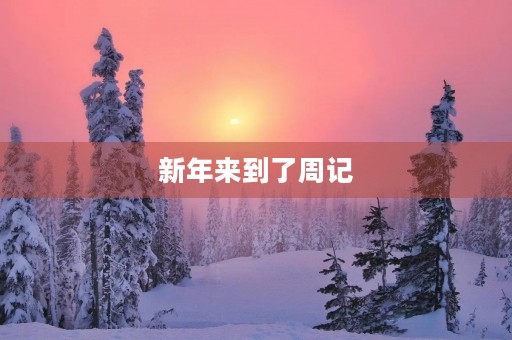 新年来到了周记 新年来到了周记