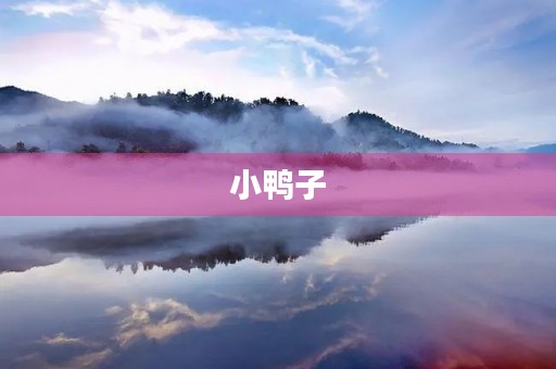 小鸭子 小鸭子