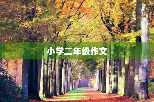 小学二年级作文 小学二年级作文