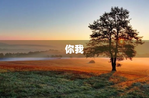 你我