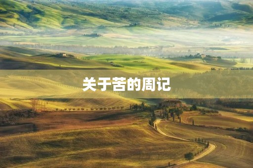 关于苦的周记 关于苦的周记