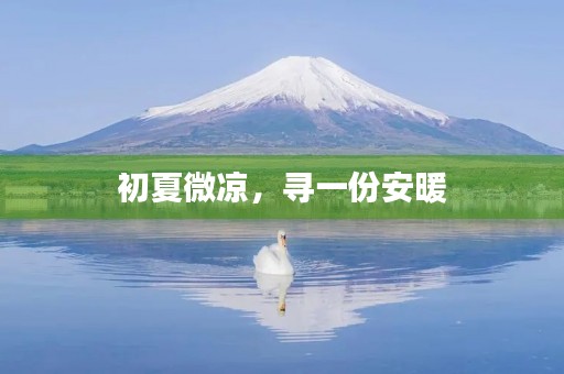 初夏微凉，寻一份安暖