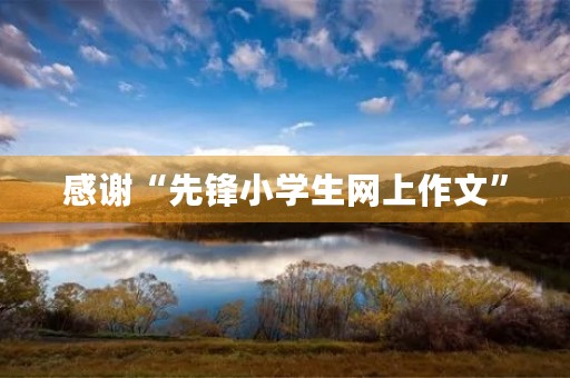 感谢“先锋小学生网上作文”