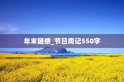 年末随感_节日周记550字