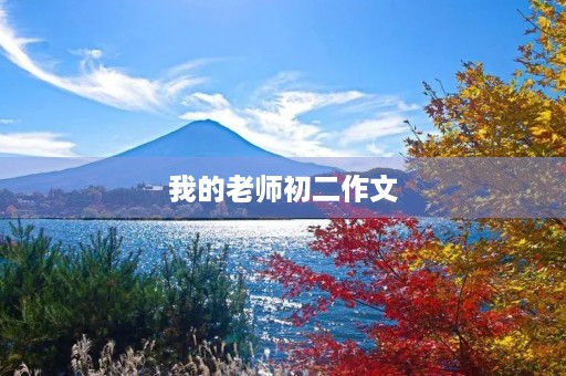 我的老师初二作文