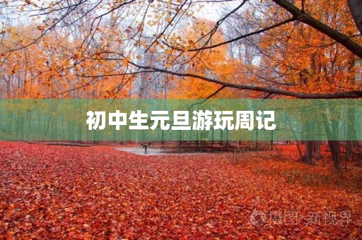 初中生元旦游玩周记