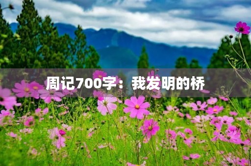 周记700字：我发明的桥