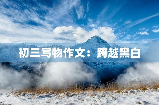 初三写物作文:跨越黑白 初三写物作文:跨越黑白