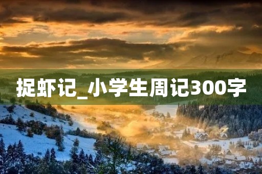 捉虾记_小学生周记300字