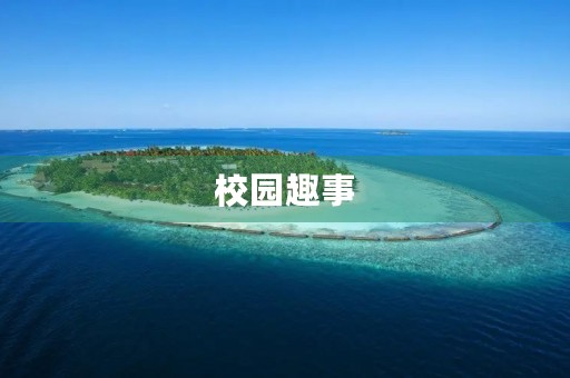校园趣事 校园趣事