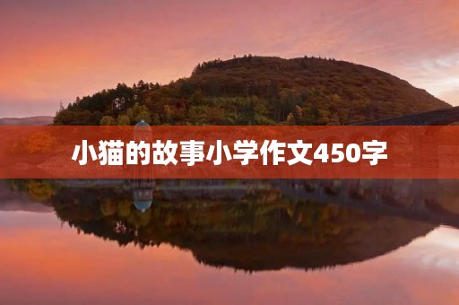 小猫的故事小学作文450字