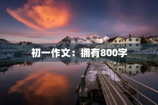 初一作文:拥有800字 初一作文:拥有800字