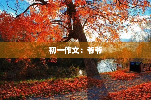 初一作文：爷爷