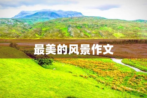 最美的风景作文 最美的风景作文