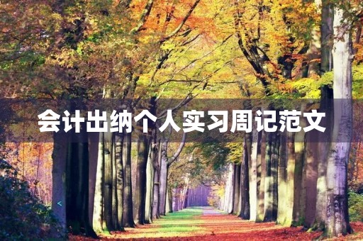 会计出纳个人实习周记范文