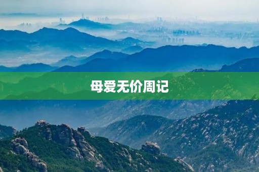 母爱无价周记 母爱无价周记