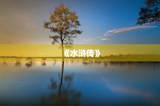 《水浒传》