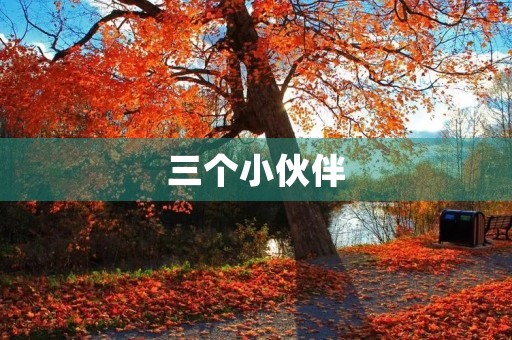 三个小伙伴
