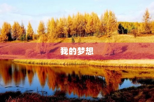 我的梦想