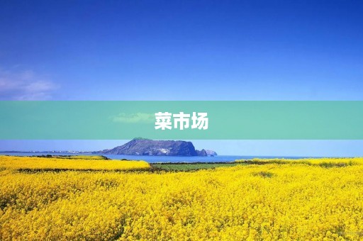 菜市场 菜市场