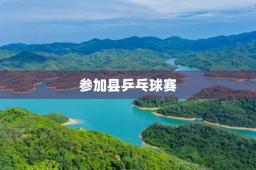 参加县乒乓球赛 参加县乒乓球赛