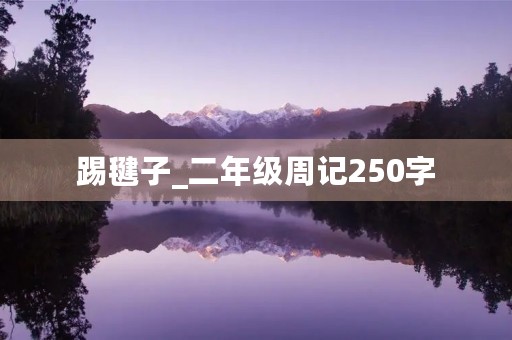 踢毽子_二年级周记250字