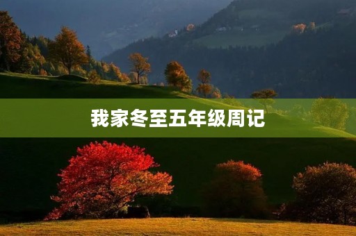我家冬至五年级周记 我家冬至五年级周记