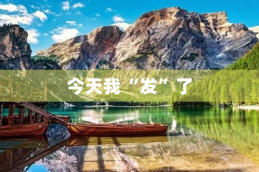 今天我“发”了