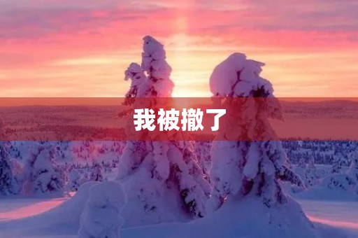 我被撤了 我被撤了