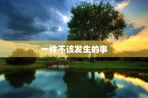 一件不该发生的事 一件不该发生的事