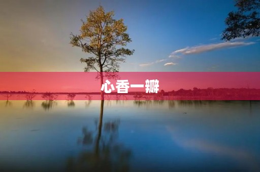 心香一瓣
