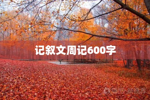 记叙文周记600字 记叙文周记600字