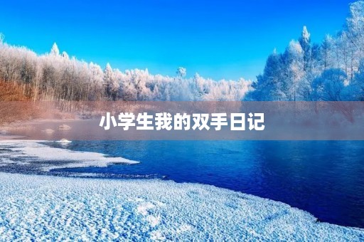 小学生我的双手日记 小学生我的双手日记