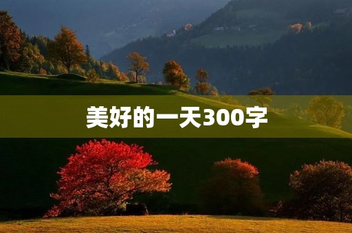 美好的一天300字
