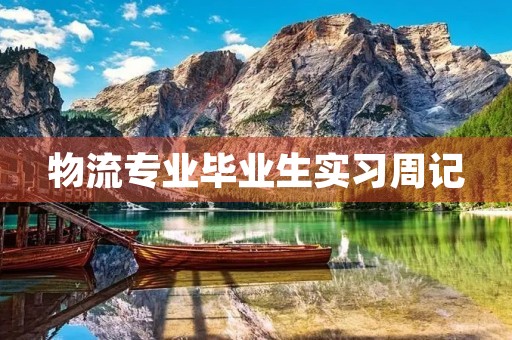 物流专业毕业生实习周记