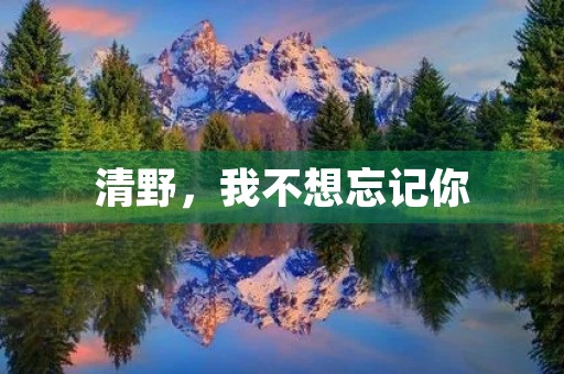 清野,我不想忘记你 清野,我不想忘记你