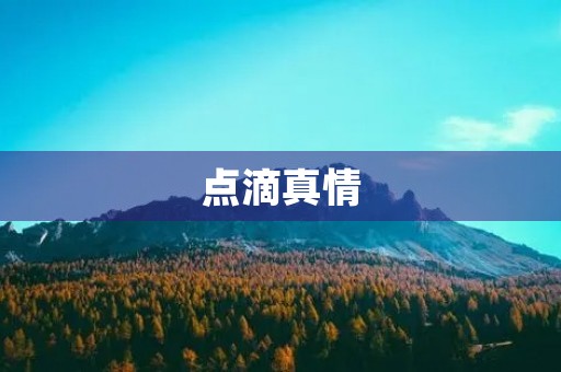 点滴真情 点滴真情