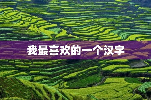 我最喜欢的一个汉字 我最喜欢的一个汉字
